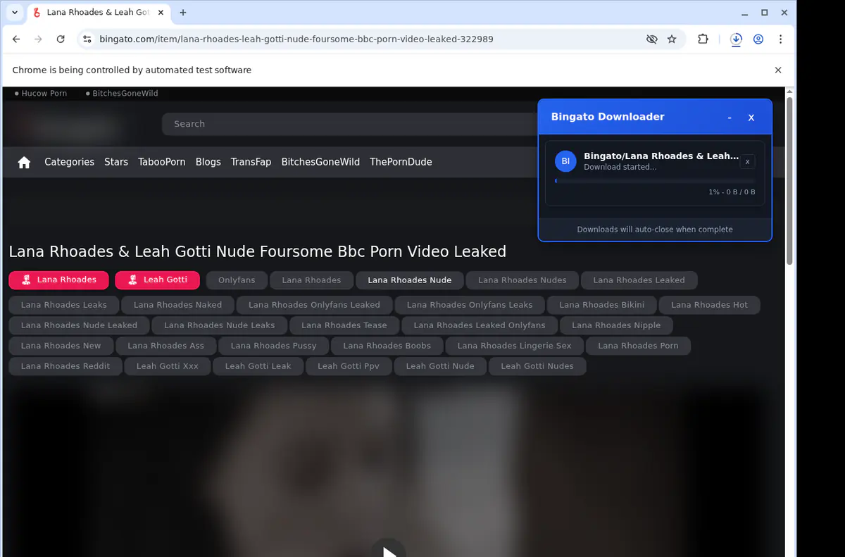 Bingato Video Downloader browser extension screenshot 2