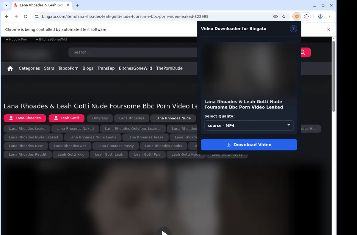 Bingato Video Downloader browser extension screenshot 3