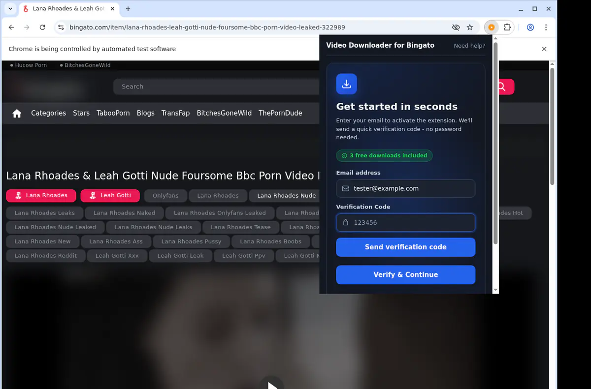 Bingato Video Downloader browser extension screenshot 4