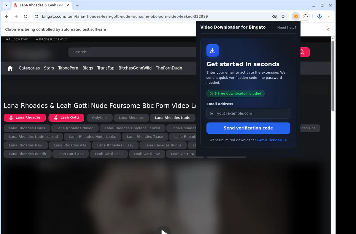 Bingato Video Downloader browser extension screenshot 5